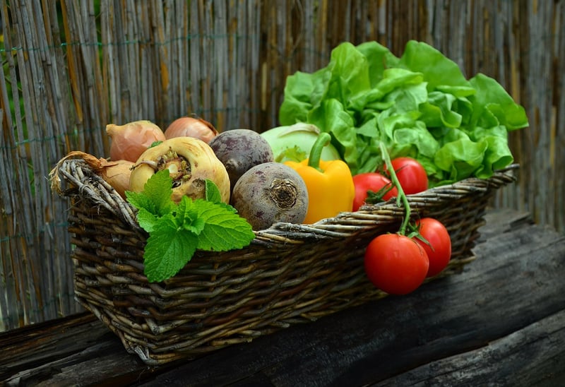 Healthy Salad